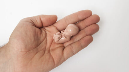 Mit dieser Nachbildung eines Embryos in der 10. Schwangerschaftswoche wollen Lebensschützer ins Bewusstsein rufen, dass es bei Abtreibungen um Menschenleben geht
