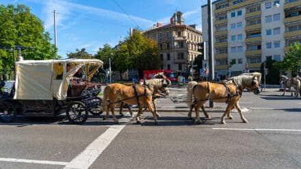 Der Friedenstreck zieht hier quer durch Augsburg