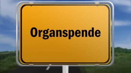 Organspende