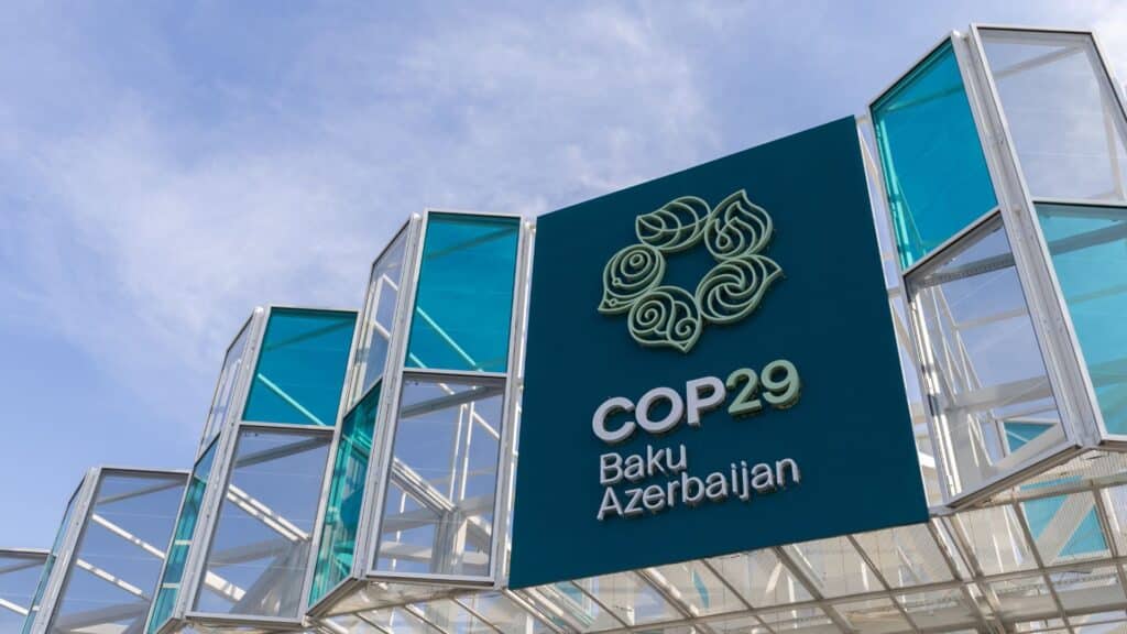 COP29